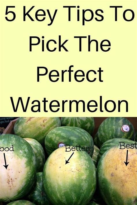 5 Key Tips To Pick The Perfect Watermelon Diy Food Diy Cricut