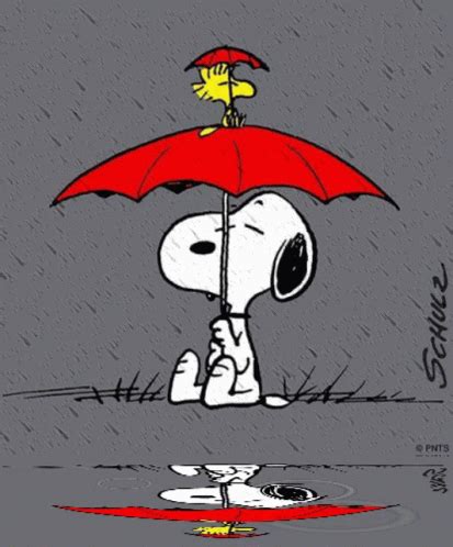 Rain Raining GIF - Rain Raining Snoopy - Discover & Share GIFs