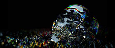 Glass Skull Wallpapers Top Free Glass Skull Backgrounds Wallpaperaccess