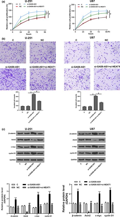 Gas8‐as1 Regulated Gbm Cell Proliferation Invasion And Activation Of