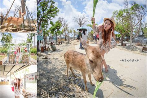 台版小奈良 標籤文章彙整。 滿分的旅遊札記