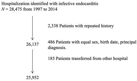 Pathophysiology Of Endocarditis In Flow Chart Labb By Ag