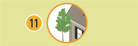 Learn How To Create Defensible Space Around Your Home Pg E Safety