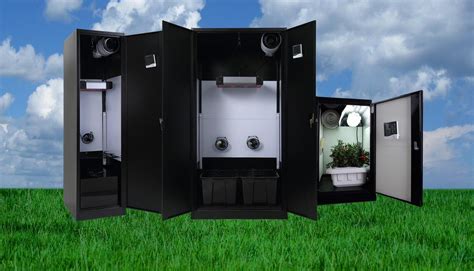 whats growing   cabinet garden   created  ideal