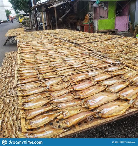 drying salted fish   indonesian village stock image image