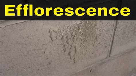 What Is Efflorescence In Concrete Causes Of Efflorescence Youtube