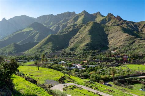 Agaete El Valle Grancanario Donde Crece El Nico Y Cotizado Caf