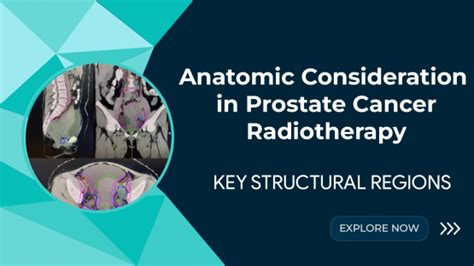 Anatomic Considerations In The Management Of Clinically Localized