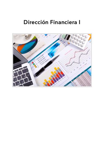 Temas Direccion Financiera I Pdf