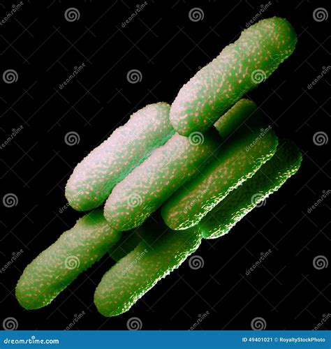 Bacterias De Legionella Pneumophila Ilustraciones Stock De Ilustraci N