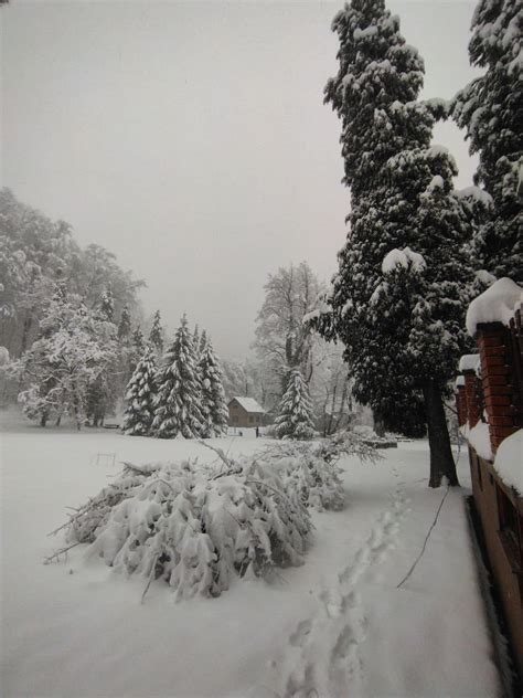 FOTO Ne preporučava se dolazak na Jankovac Mokar snijeg ruši stabla i