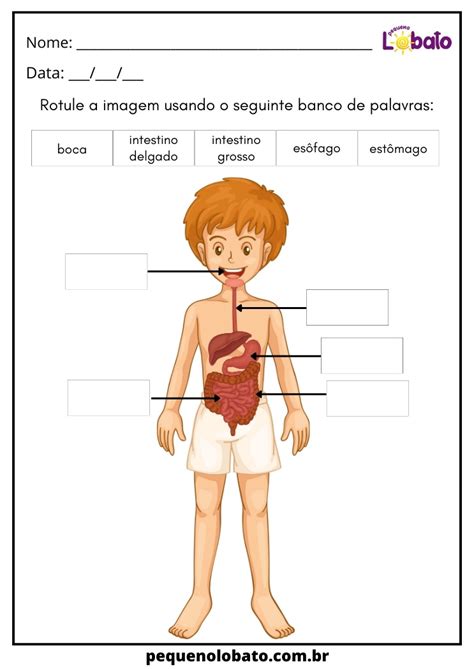 12 Atividades Sobre O Corpo Humano Para Imprimir