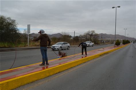 Trabaja Gobierno Municipal en forestación de avenida Fuerza Aérea y