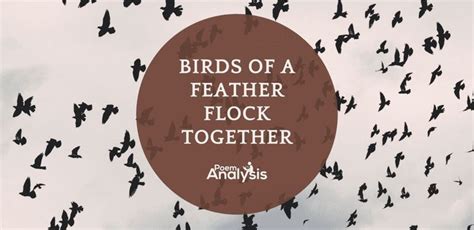 Birds Of A Feather Flock Together Meaning And Origin In 2023 Bird