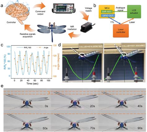 Demonstration Of The Application Of Pm‐lce For Self‐sensing A