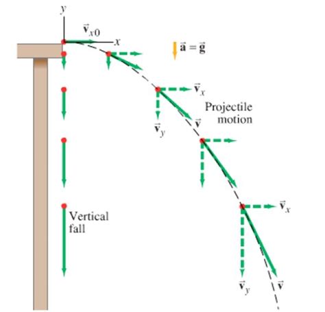 Projectile Motion Diagram