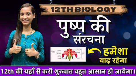 पुष्प की संरचना Structure Of Flower Class 12th Biology By Just Well