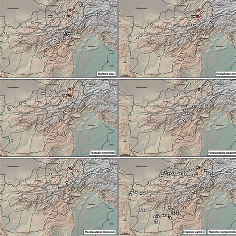 Herpetofaunistic records of Bufonidae, Ranidae, Testudinidae and ...