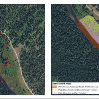 Assessment Area Delineation Based on HGM and USNVC Formation Types.... | Download Scientific Diagram