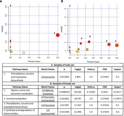 Frontiers Serum Metabolomic Profiling Unveils Distinct Sex Related