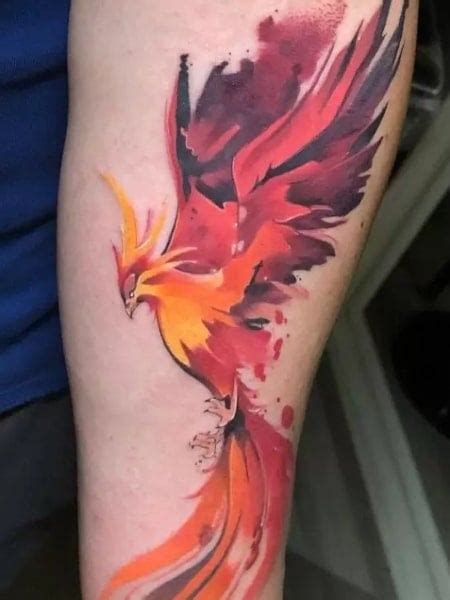 Top 78 Flaming Phoenix Tattoo Super Hot In Coedo Vn