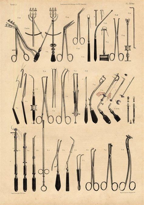 Пин на доске - Anatomy