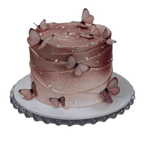 Chocolate cake – Magic Bakers, Delicious Cakes