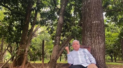 Estadio De Béisbol Aeropuerto Y Tren Maya Todo Con Lo Que Cuenta El