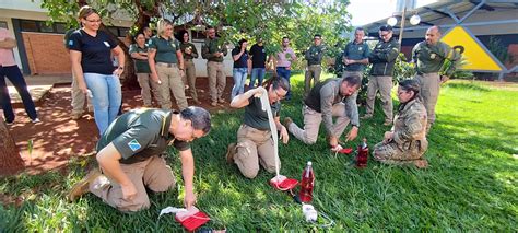 Disciplina De Curso Aph T Tico Capacita Agentes De Tr Nsito Ao