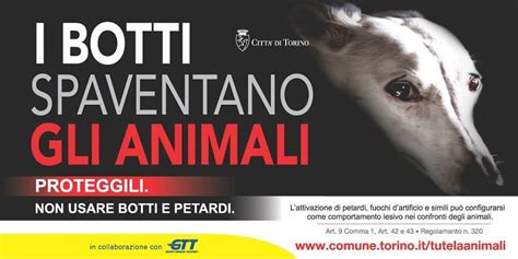 La Campagna Di Citt Di Torino E Gtt Contro I Botti Di Capodanno Per