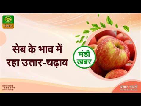 Agricultural Market News Mandi Khabar मड खबर सब क भव म रह