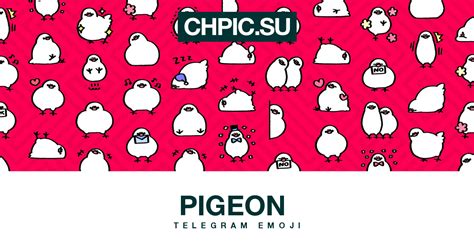 Telegram emoji 🐦 from «Pigeon 🐦» pack