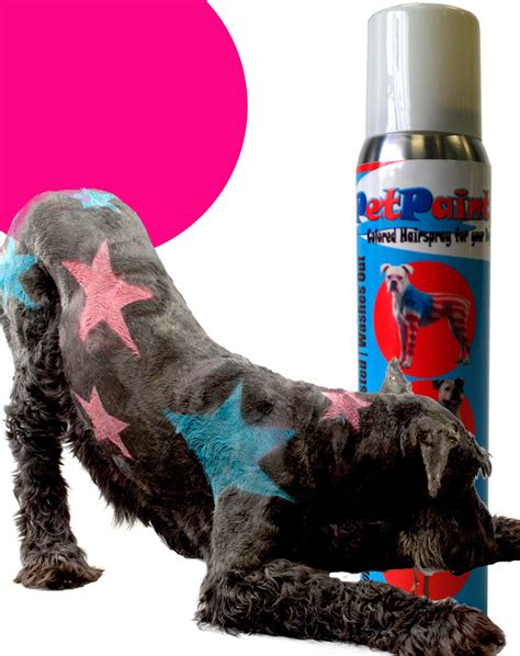 Pet Paint Dog Animal Safe Temporary Hairspray Hair Color Spray Can Halloween 5oz | eBay