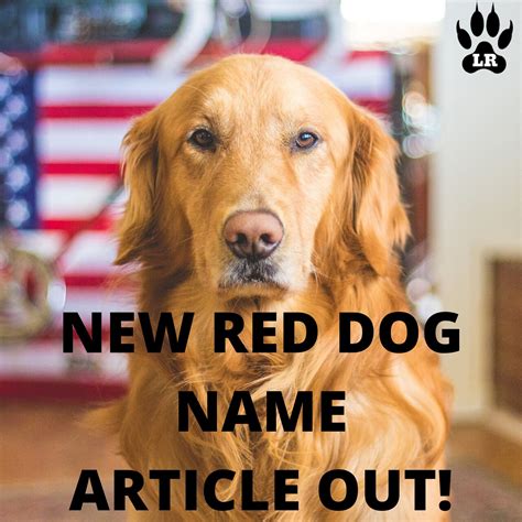 Red Dog Names: Find the Perfect Name for Your New Pup