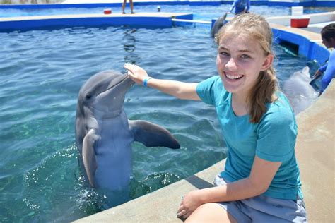 Marineland Dolphin Adventure, St. Augustine, Florida - Book Tickets & Tours