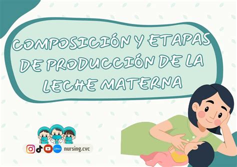 ComposiciÓn Y Etapas De ProducciÓn De La Leche Materna Nursingcvc