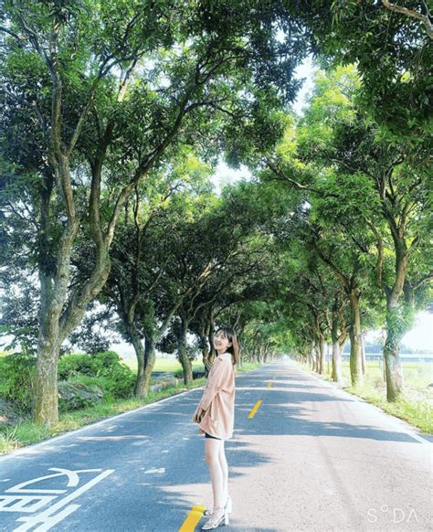 雲林古坑一日遊｜騎單車、美拍打卡景點、下午茶咖啡廳，慢活走訪咖啡山城！ 輕旅行