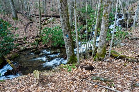 Thompson Creek Trail On Hikewnc