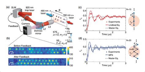 Quantum Simulator Made Up Of 25 Atomic Qubits KAIST Compass