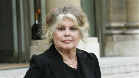 Brigitte Bardot Offenbar Seit Mehreren Wochen Im Krankenhaus