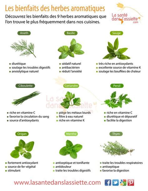 Quels Sont Les Bienfaits Des Herbes Aromatiques Pour La Sant Not