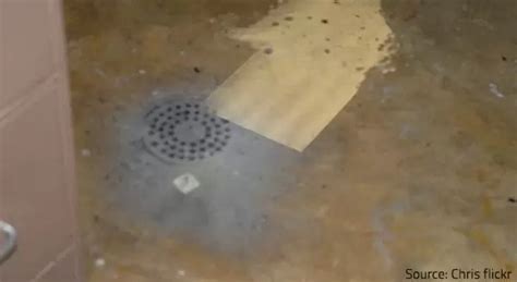 How To Clean Basement Floor After Sewer Backup Openbasement