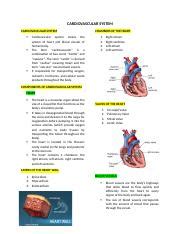 REVIEWER Docx CARDIOVASCULAR SYSTEM CARDIOVASCULAR SYSTEM