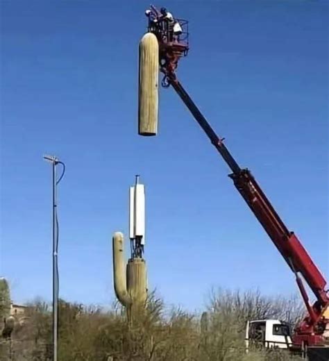 17 Mind-Bending Reality Shifts – Barnorama