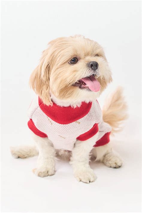 Buzo Navideño Reno para Mascotas Be Pets | Deprati Tienda Online