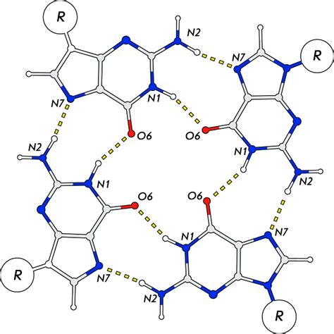 Scheme Of G Quartet Four Guanine Residues Form A Square Coplanar