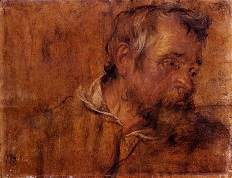 Profile Study Of A Bearded Old Man Anthony Van Dyck