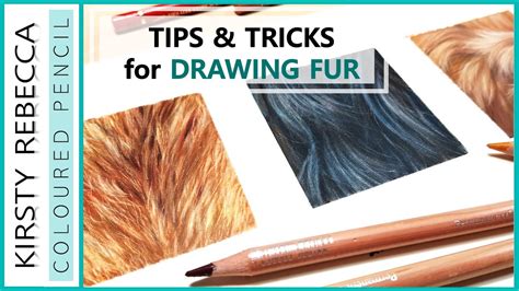 How To Draw FUR In COLOURED PENCIL Step By Step Tutorial YouTube