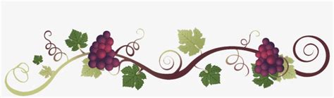 A grape vine border Royalty Free Vector Image - VectorStock - Clip Art ...