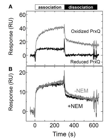 Table From Kinetic Analysis Of The Interactions Between Plant